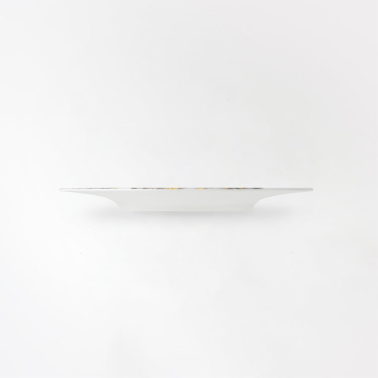 煌 KIRA 21.5cmプレート (5枚セット)