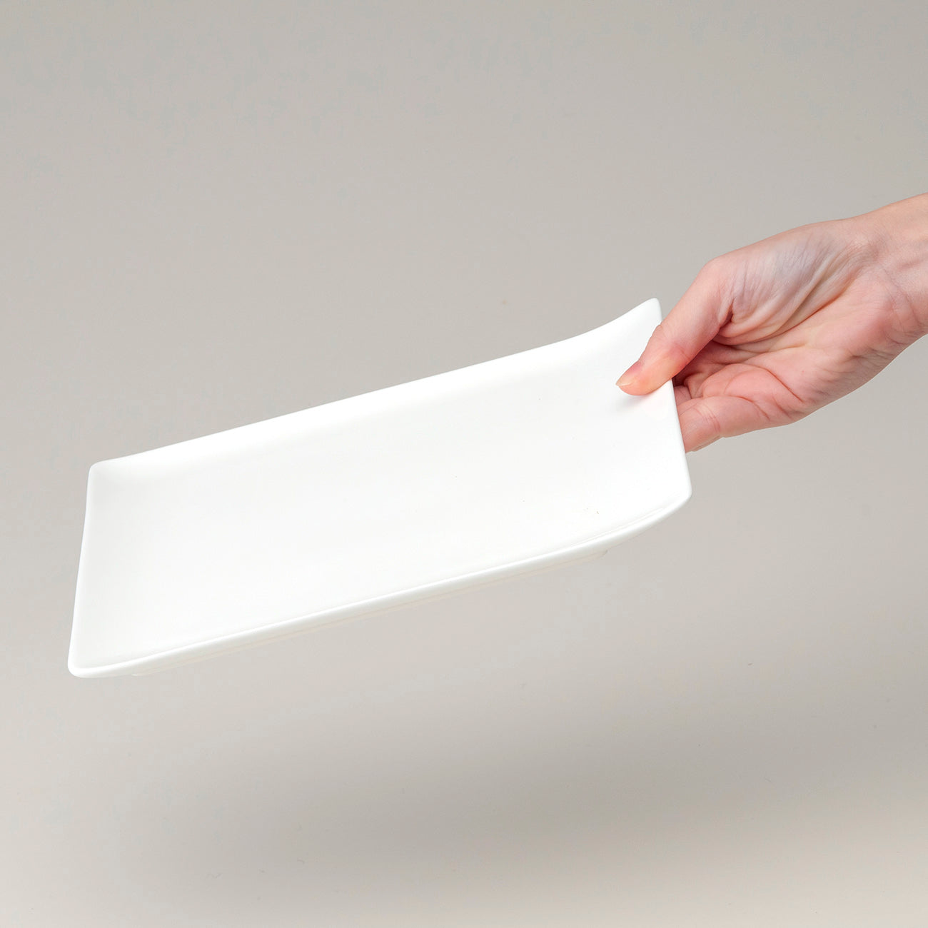 22×16.5cmプレート