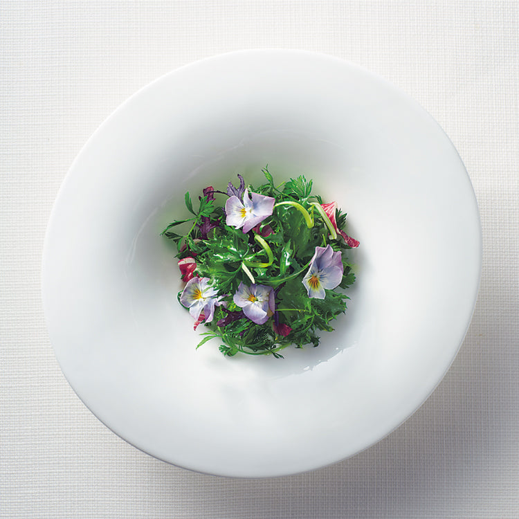 SIJIMA DEEP PLATE 210