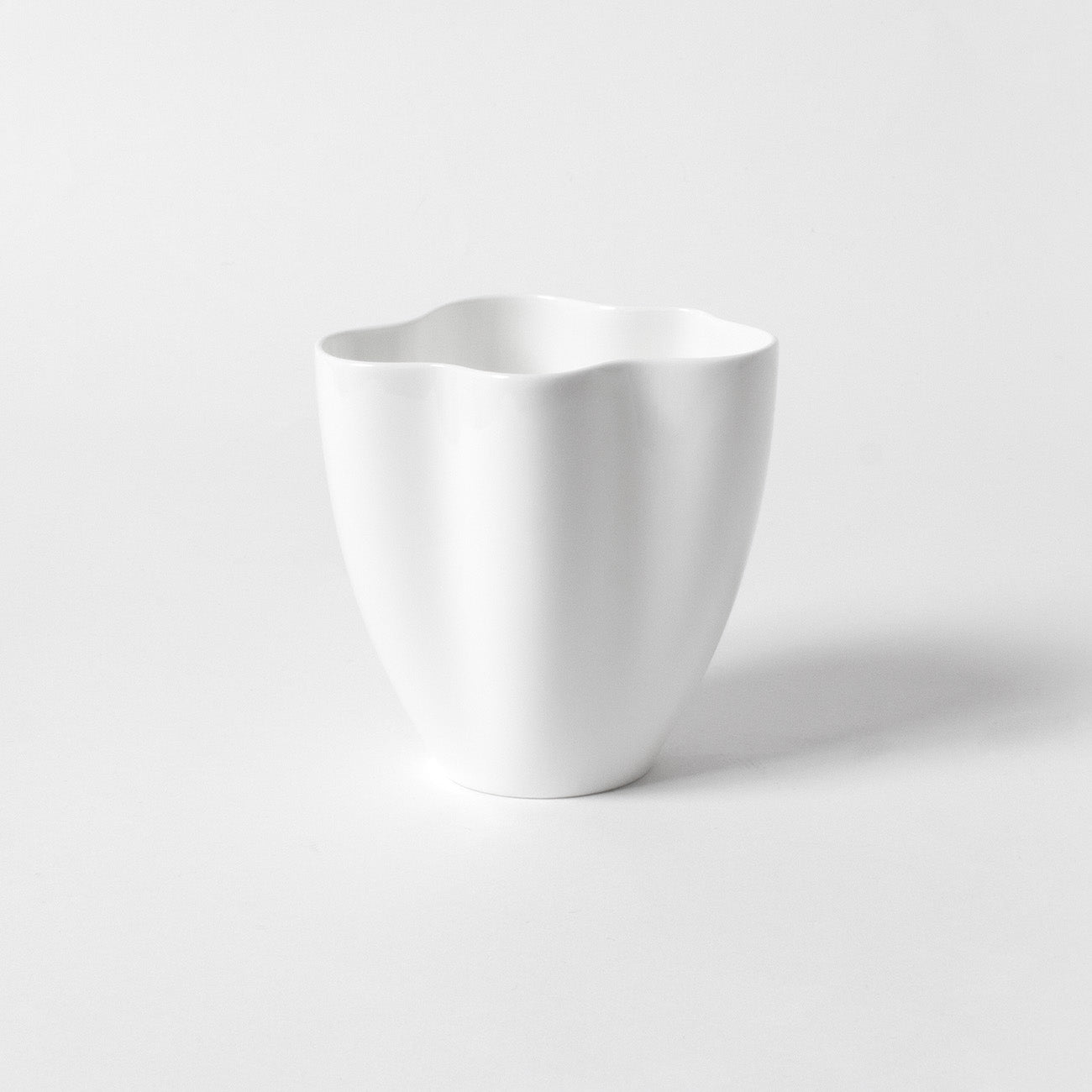 9.5cmビーカー (300cc)