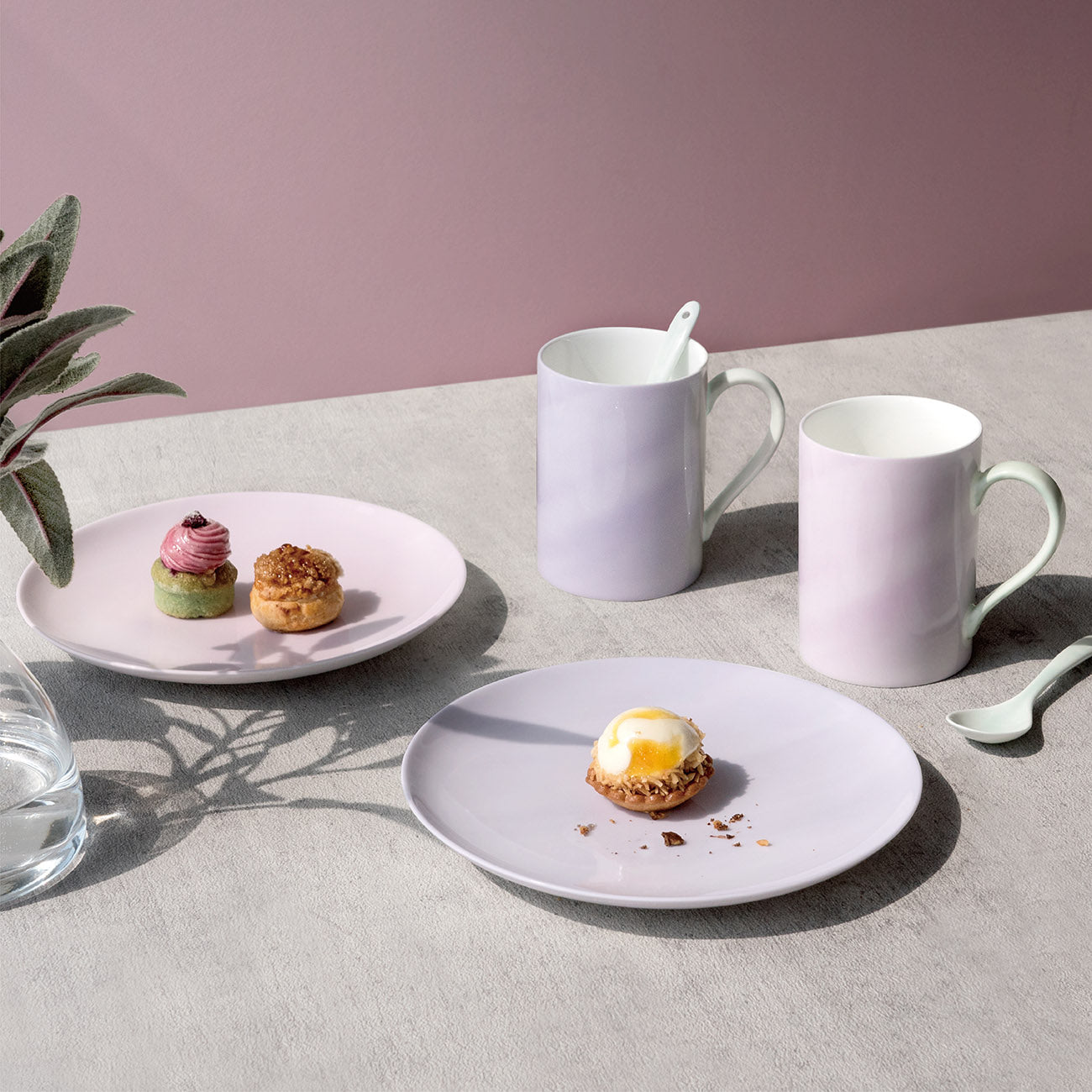 スターター6点セット (ペア) (ピンク・バイオレット)