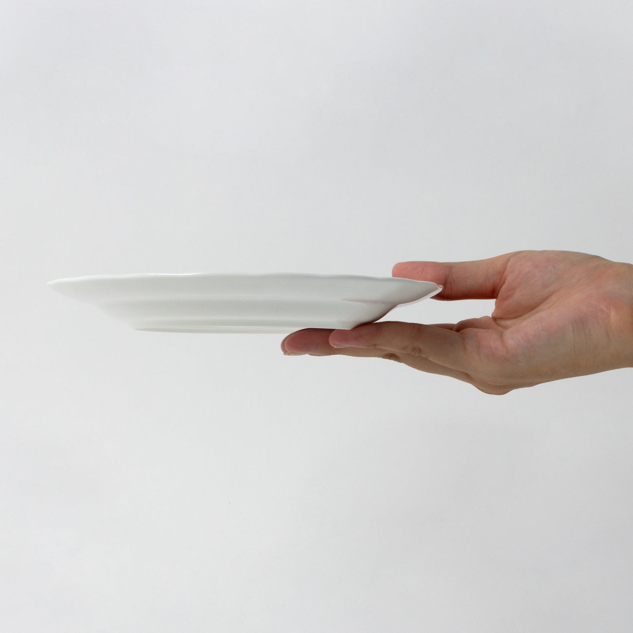 18cmプレート (Rim)