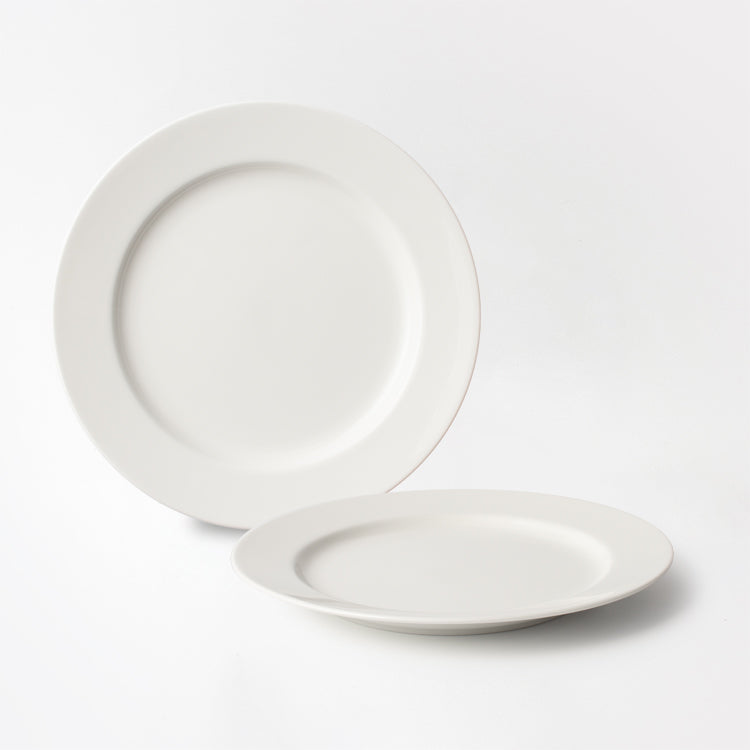 22cmプレート 2枚セット