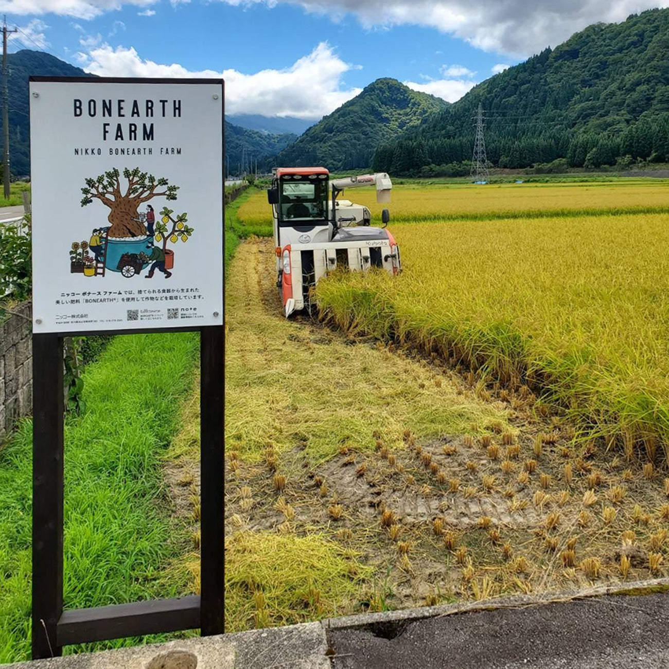 ペア13cm飯碗&BONEARTH米1kgセット