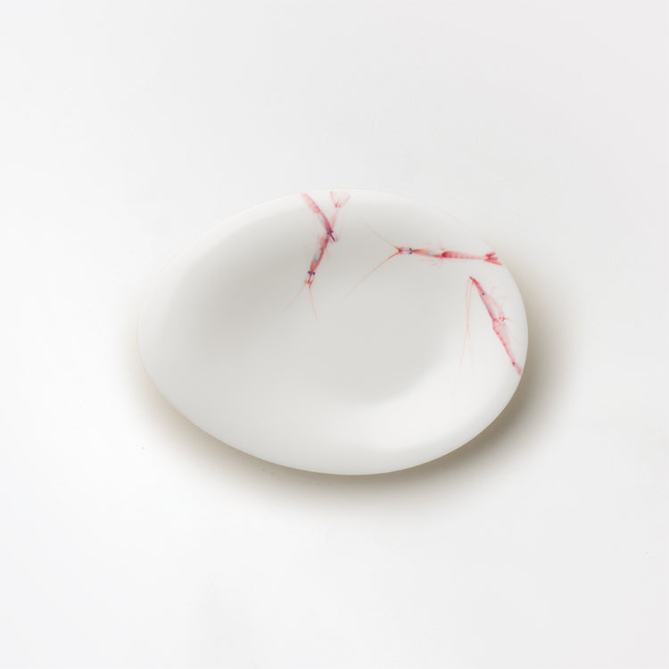 18cmオーバルプレート