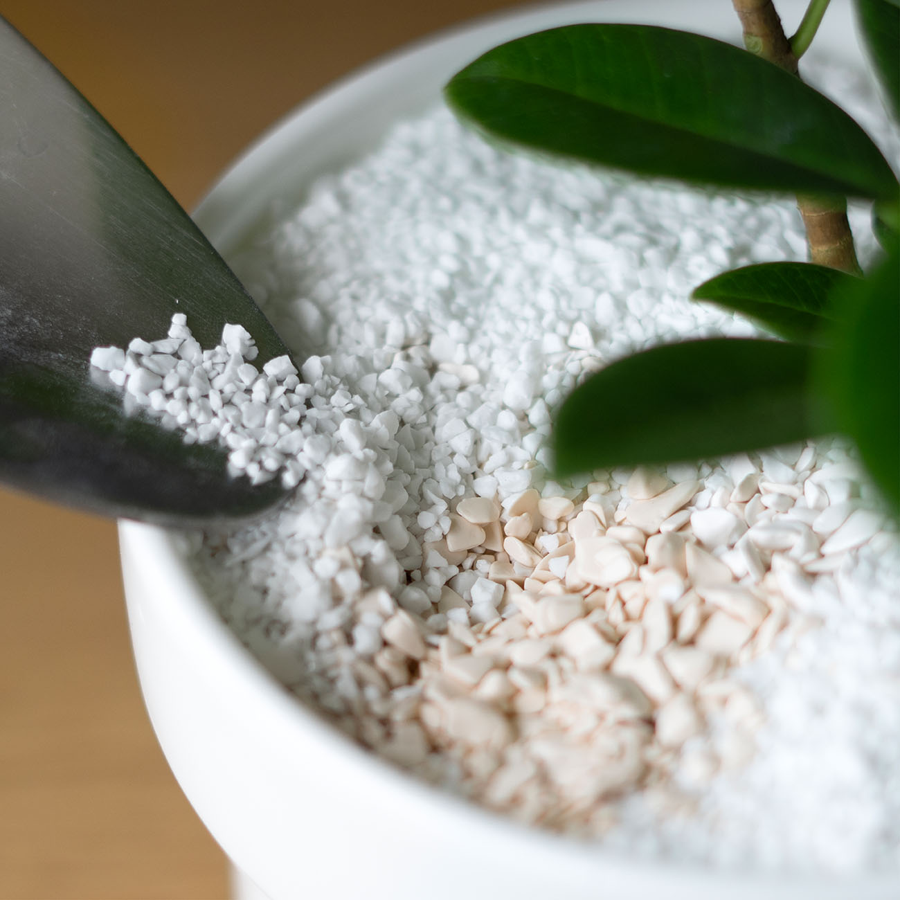 PERCEPTION SOIL(450ml)