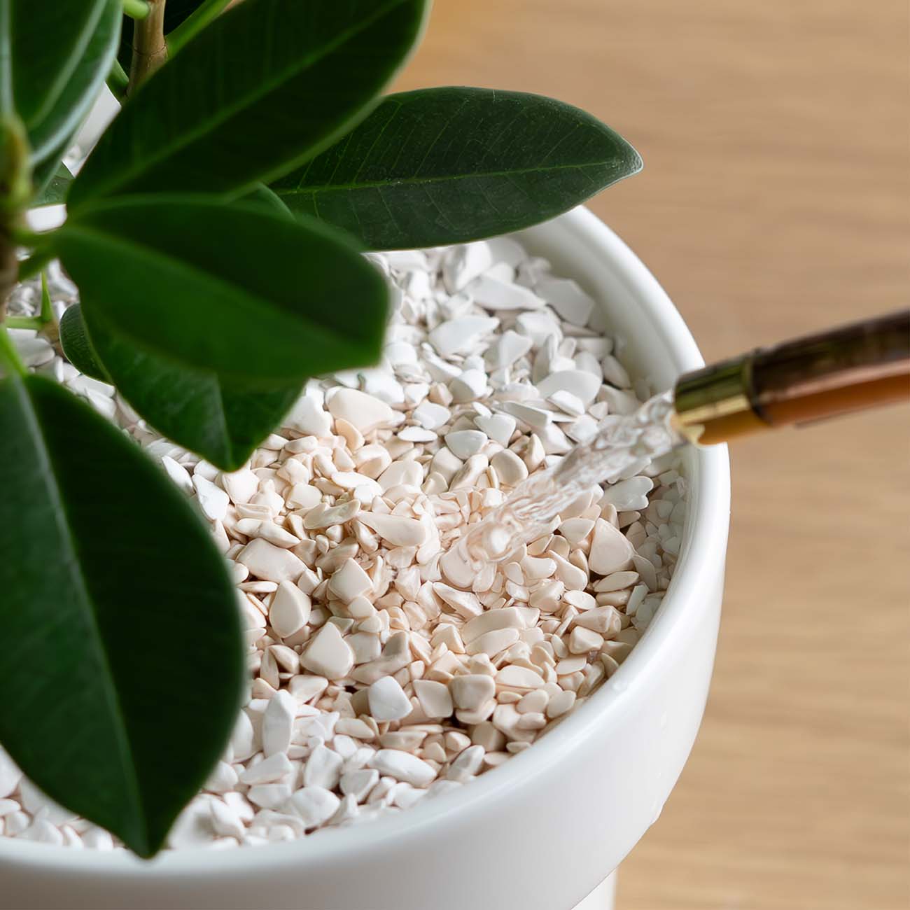 PERCEPTION SOIL(450ml)