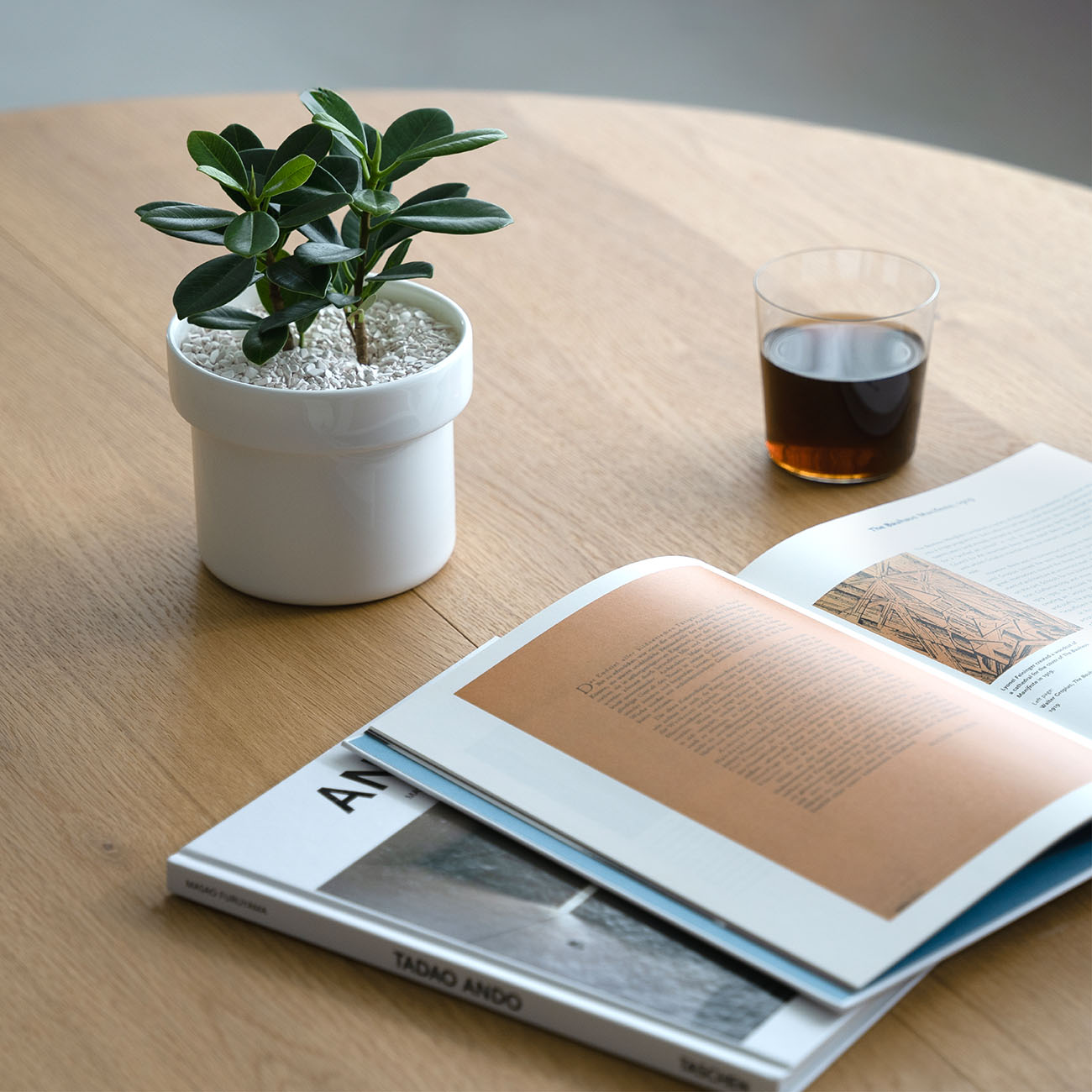 PERCEPTION SOIL(450ml)