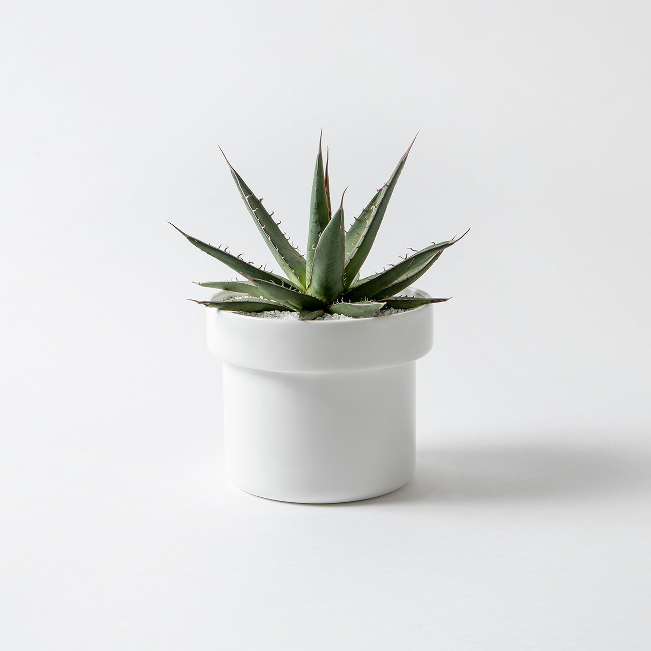 HACHI 15cmプランター