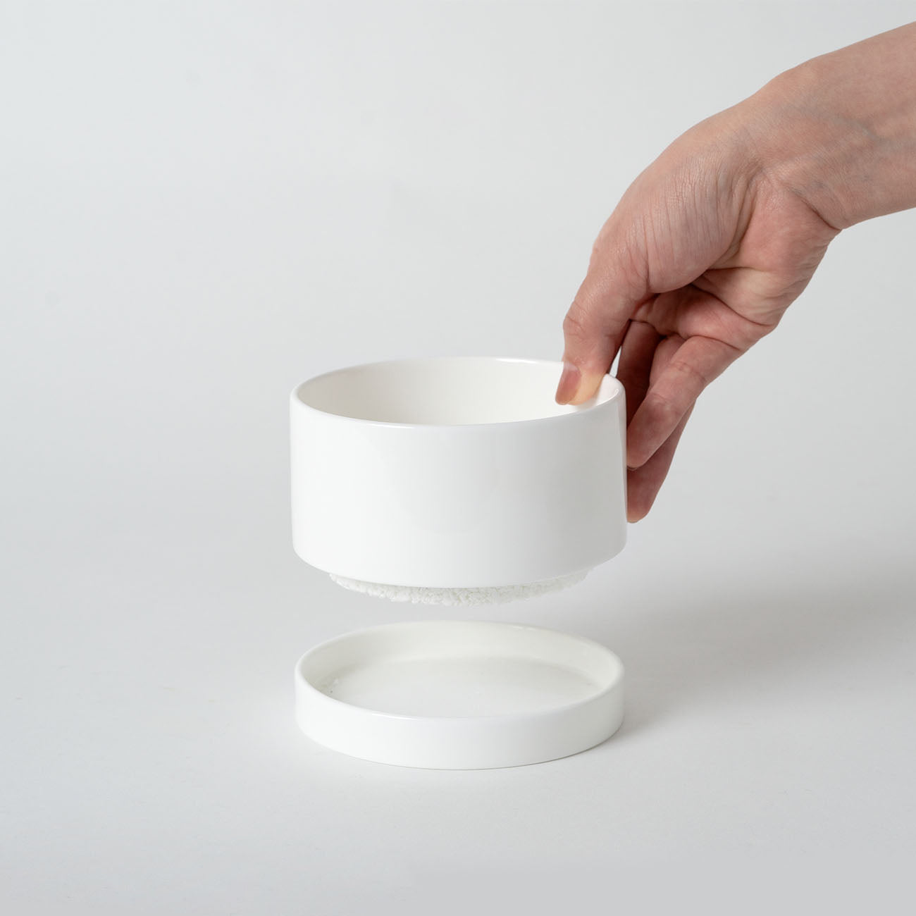 Reborn プランターS