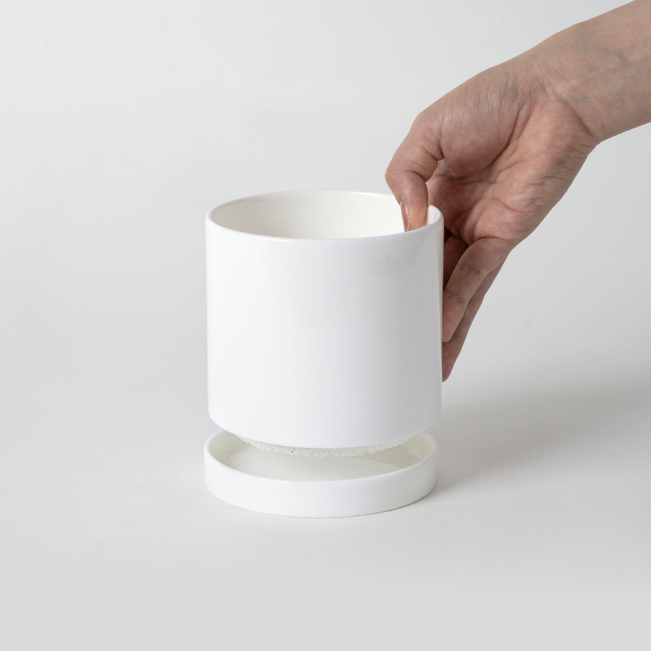 Reborn プランターM