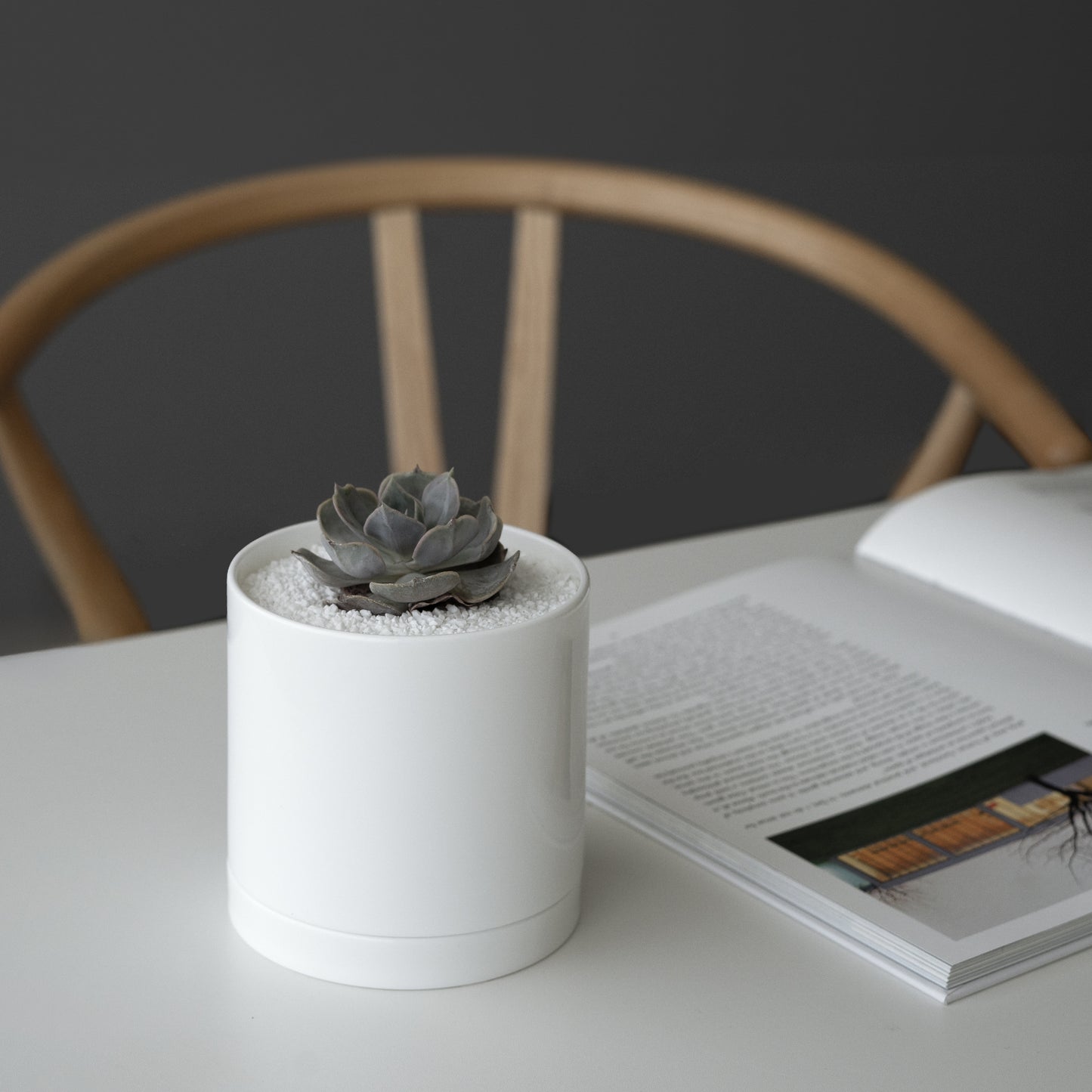 Reborn プランターM