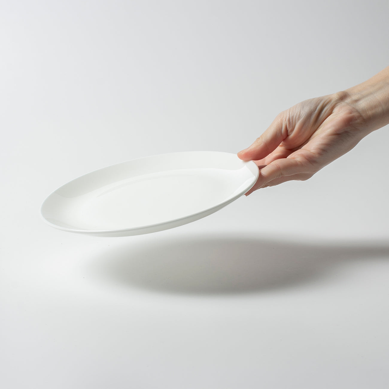 19cmプレート(1枚箱入)