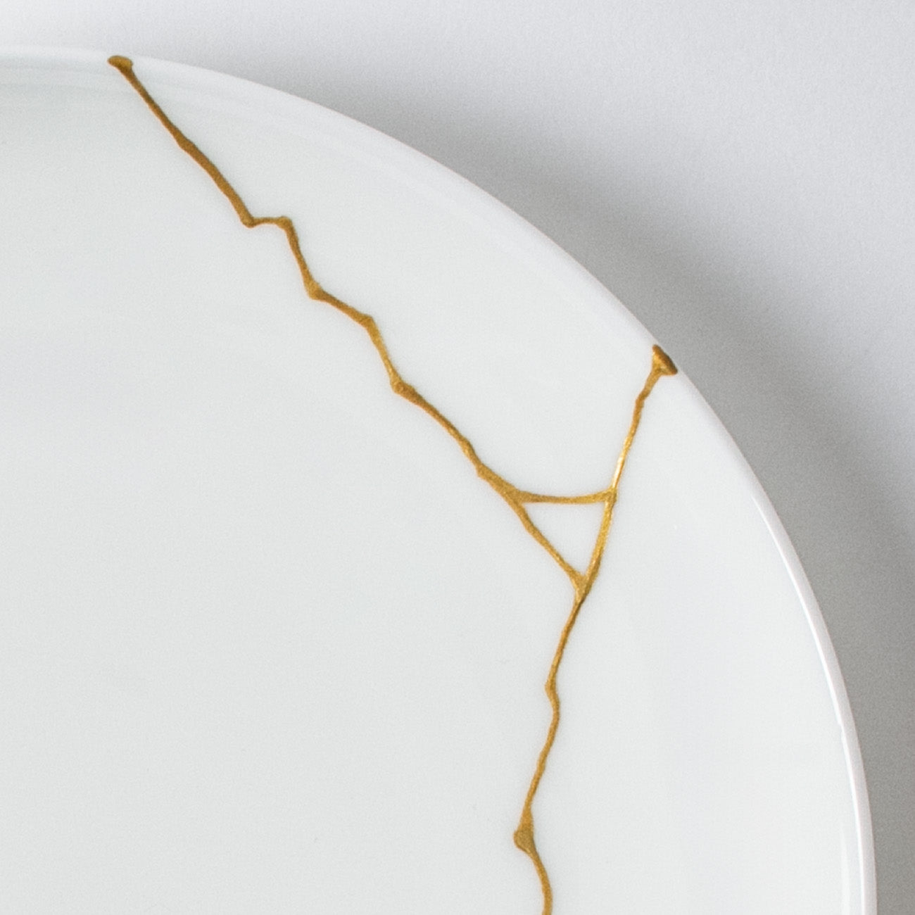 20.5cmプレート(2枚組) A2｜三谷産業様株主優待品｜ニッコー公式