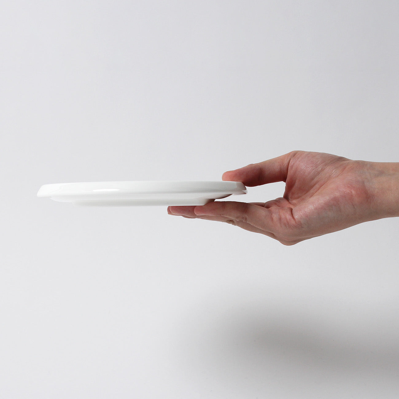 絵変わり17cmプレート2枚組　C2