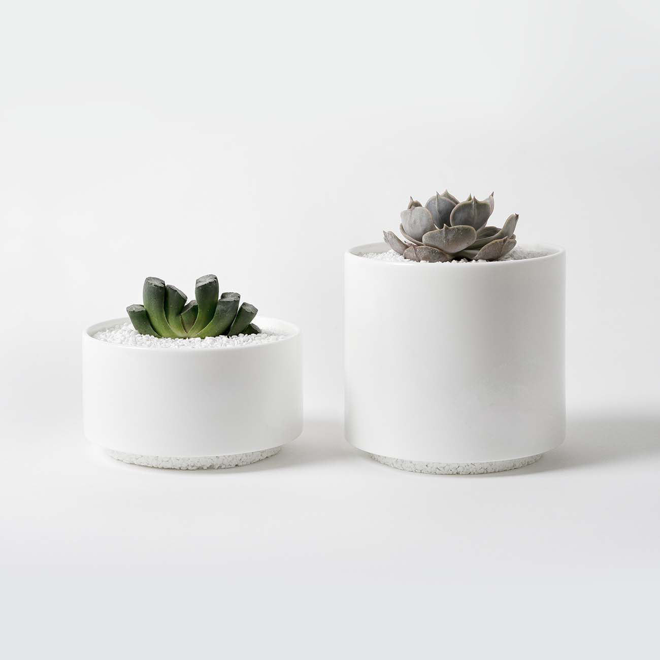  peak 他　チタニウム 食器セット PEAKS＆TREES キャンプ お皿 アウトドア 食器 チタン製 プレート