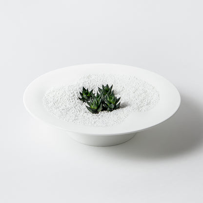 Duneセット (ハオルチア・BONEARTH300g)