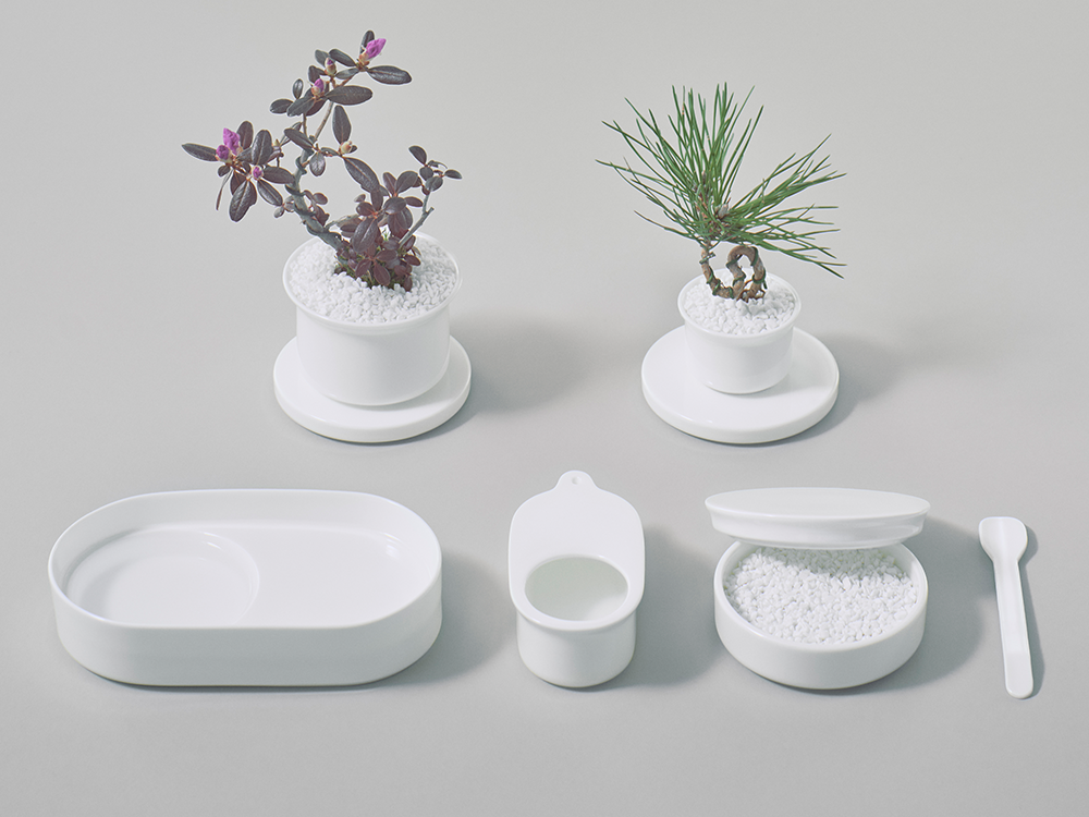 萬古焼 台鉢 横幅約15㎝ 東Y6-0301①トヒコ NIKKO Table Planter – ニッコー公式オンラインショップ